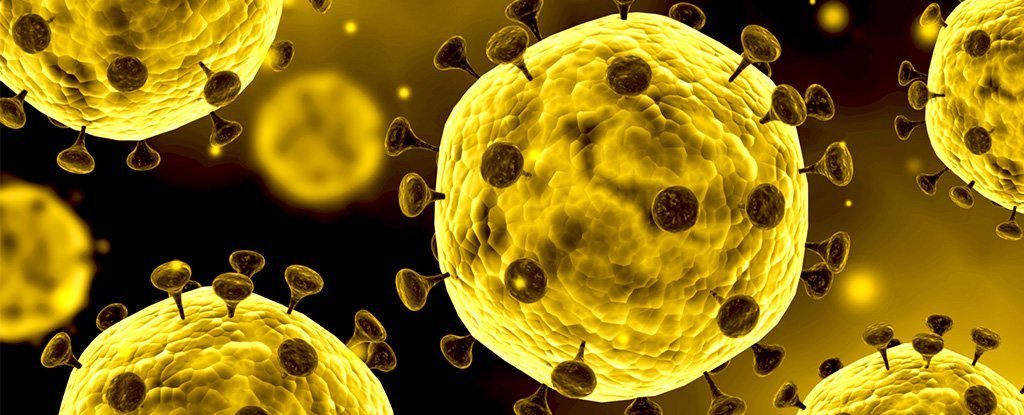 Inilah Hal Pantang Kamu Lakukan Selama Virus Corona Menyebar!