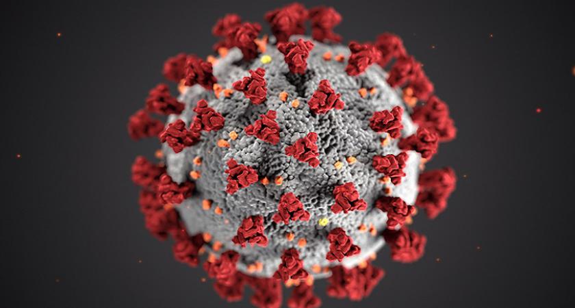 Hal-hal Buruk Ketika Virus Corona Masih Menyebar!