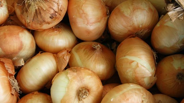 Manfaat Mengonsumsi Bawang Bombay Untuk Kesehatan