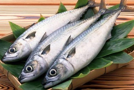 Manfaat Mengonsumsi Ikan Tongkol Untuk Kesehatan Tubuh