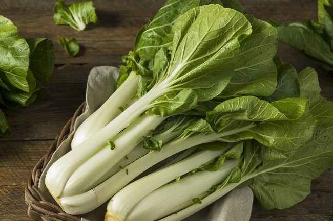 5 MANFAAT SAYUR PAKCOY YANG TIDAK DI KETAHUI